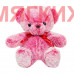 Мягкая игрушка Медведь с бантиком DL204004802DP